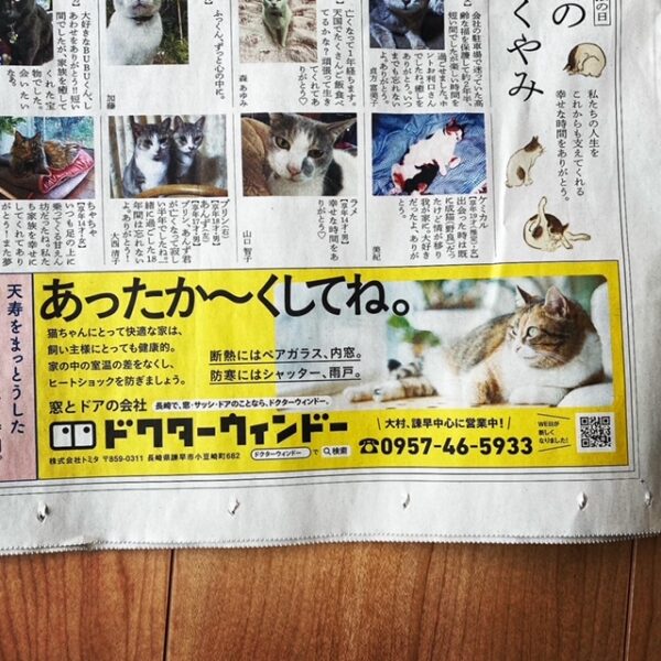 猫の日企画（長崎新聞様）