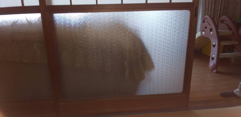 室内建具ガラス割れ替え
